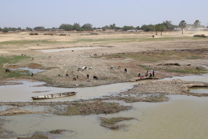 A lake that is dry in patches, with a boat partially in the water. Cows and people are along the banks.