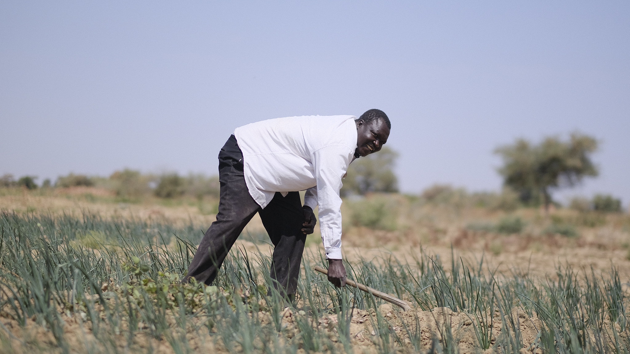 Man bending over with farming tool in a field near Lake Chad