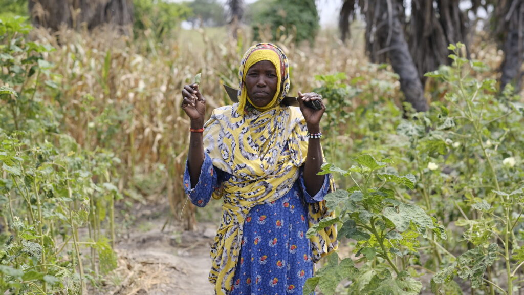 A woman in a bright yellow and blue head covering stands in a field, holding up a small okra harvested from her garden.