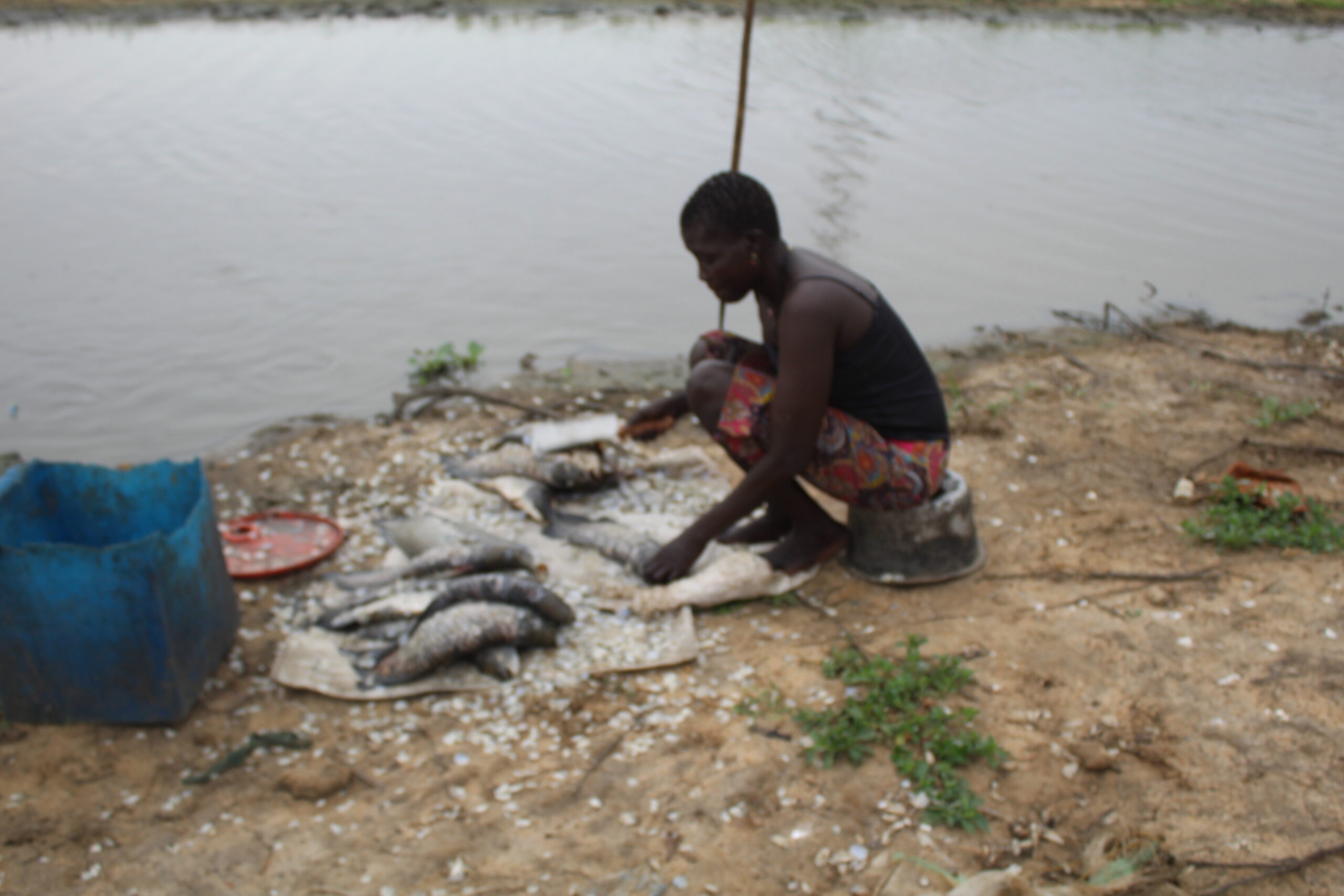img-riak-garang-1