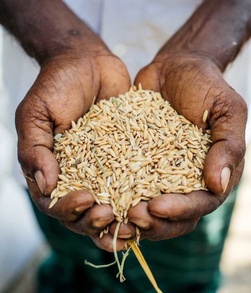 Canadian Foodgrains Bank CLWR
