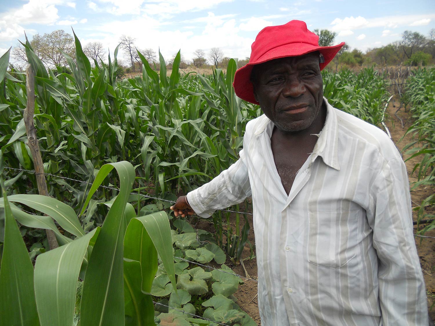 small-scale-farmer-banner